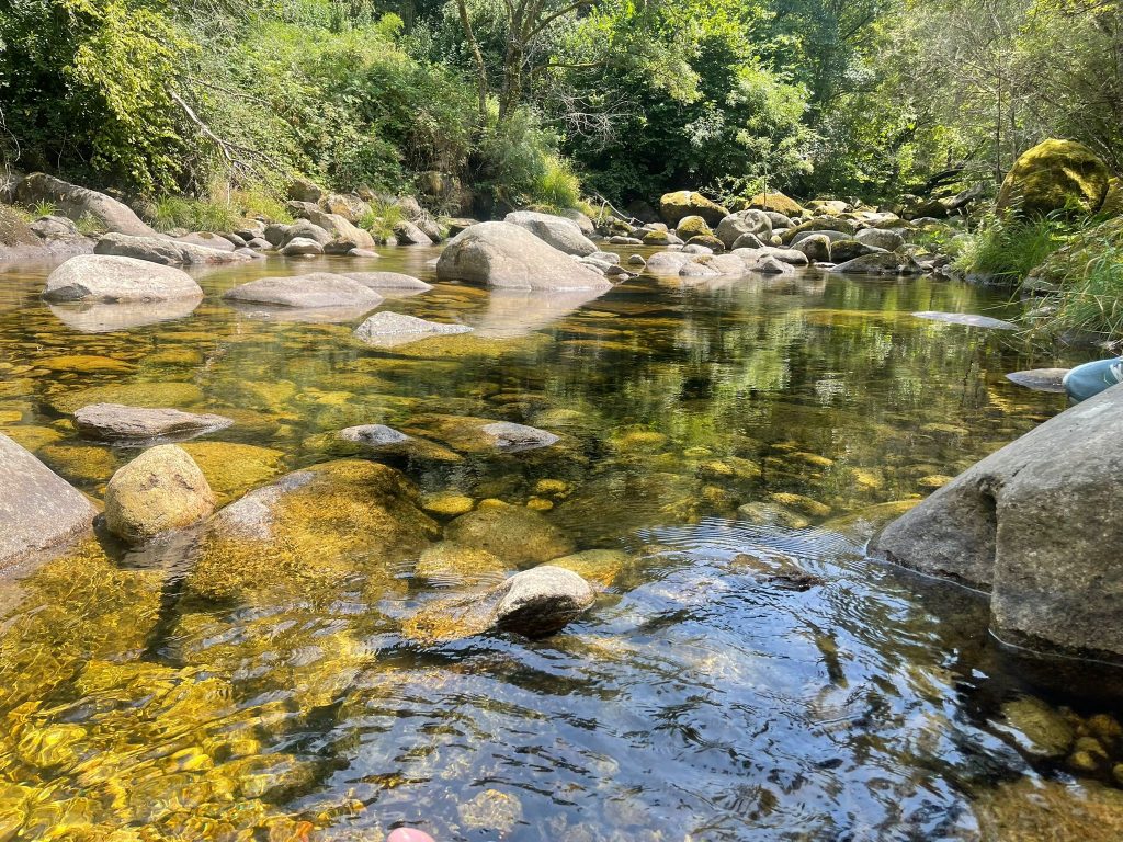 WhatsApp Image 2025-07-12 at 13.59.33 (2)